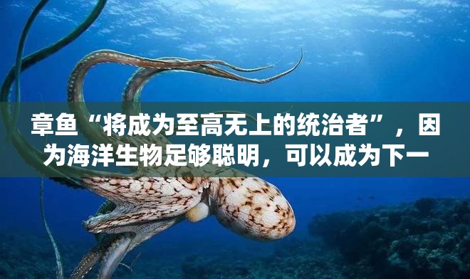 章鱼“将成为至高无上的统治者”，因为海洋生物足够聪明，可以成为下一个文明建设者