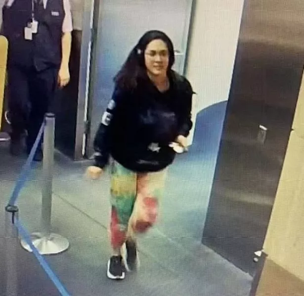 汉娜·小林的家庭纠纷爆发资金帮助寻找失踪的摄影师