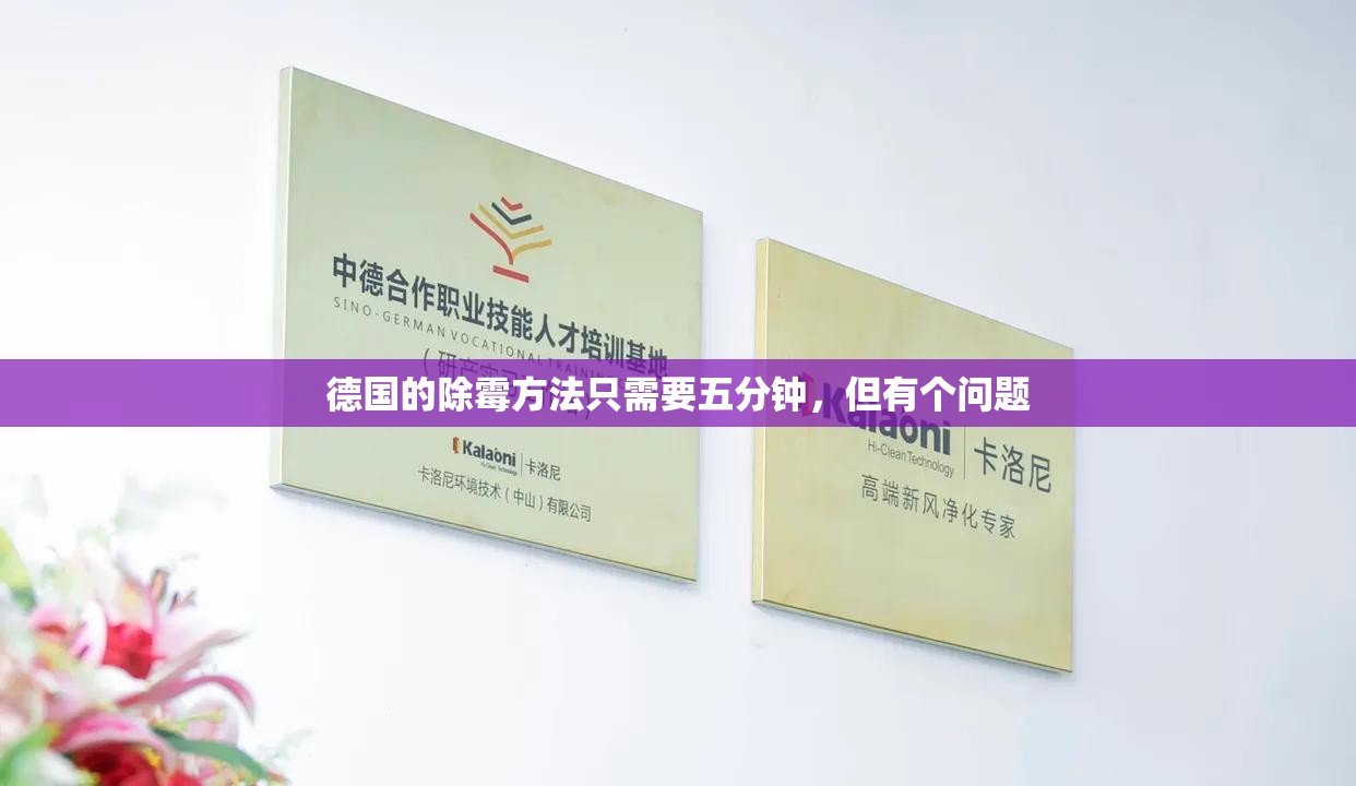 德国的除霉方法只需要五分钟，但有个问题
