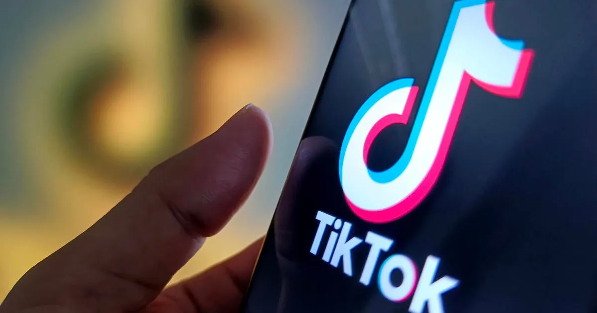 随着1月19日截止日期的临近，TikTok请求最高法院阻止禁令