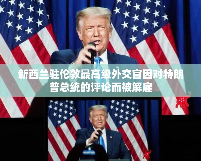 新西兰驻伦敦最高级外交官因对特朗普总统的评论而被解雇
